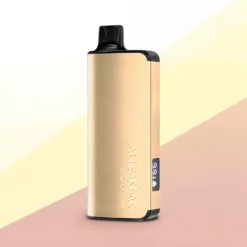 Alibarbar Ingot 9000 Pufuri Arome Diverse 22ml 2350mAh Nereîncărcabil